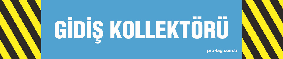 Gidiş Kollektörü