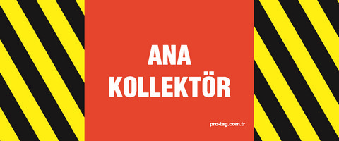 Ana Kollektör